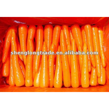 Especificación de zanahoria fresca de 2012